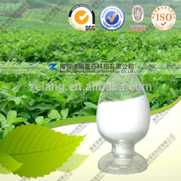 Stevia Extract Stevioside Reb eine 97% aus China